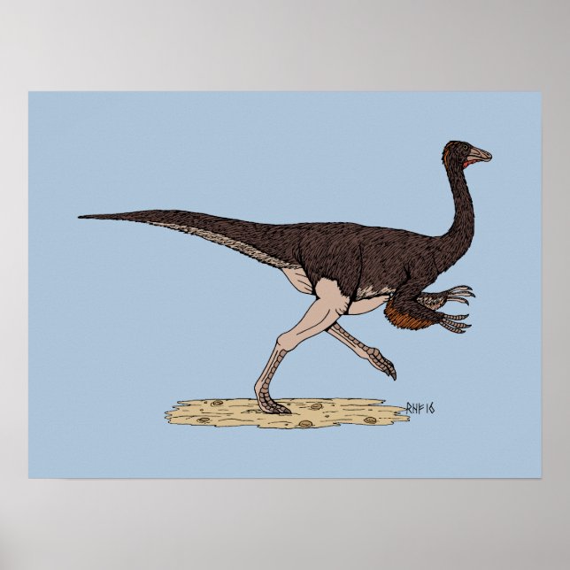 Pôster Dinossauro Cretáceo Ornithomimus (Frente)