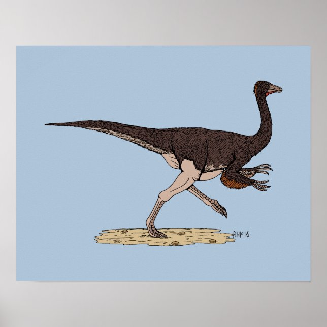 Pôster Dinossauro Cretáceo Ornithomimus (Frente)