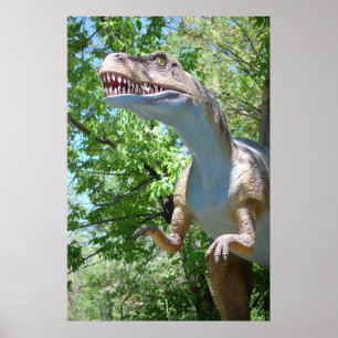 Poster Dinossauro de T-Rex do tiranossauro