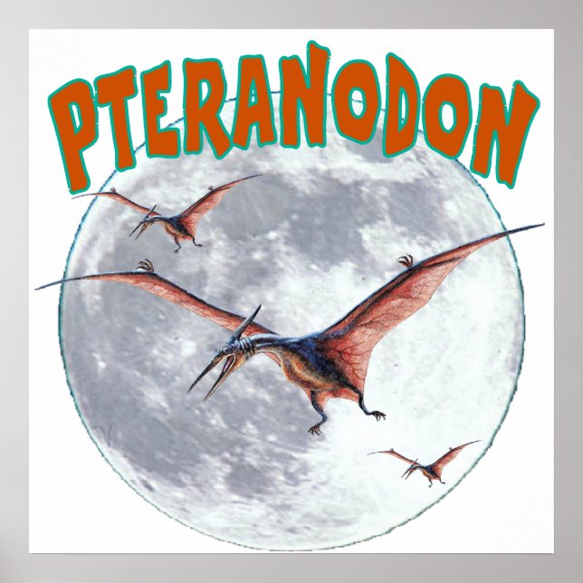Pôster Dinossauro Pteranodon (Frente)