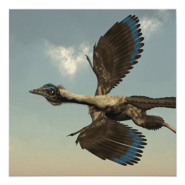 Pôster Dinossauros de aves Archaeopteryx voando - renderi (Frente)