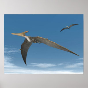 Poster Dinossauros Pteranodon voando - renderização 3D