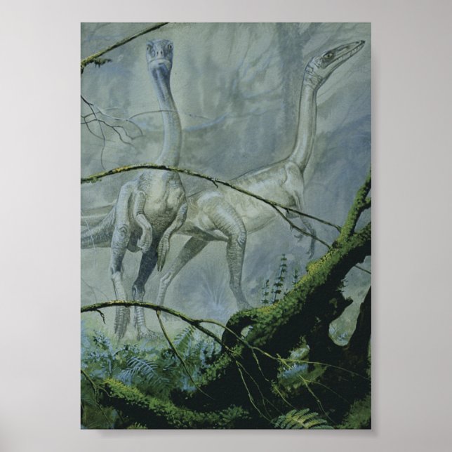 Poster Dinossauros Vintage, Megapnosaurus também conhecid (Frente)