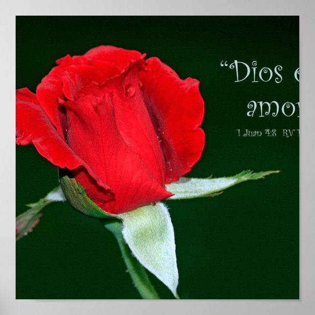 Pôster Dios es amor (Cartel de 1 Juan 4:8) (Frente)