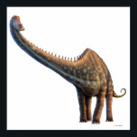 Poster Diplodocuments<br><div class="desc">A diplodocus, descoberta em 1877, é um dos mais longos dinossauros conhecidos, chegando a 35 metros de comprimento (115 pés). A maior parte disso, porém, era cauda e pescoço, o que significava que o animal pesava apenas de 10 a 15 toneladas - muito menos que os saurópodes-boqueiro de comprimento semelhante,...</div>
