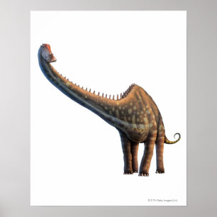 Pôster Diplodocus