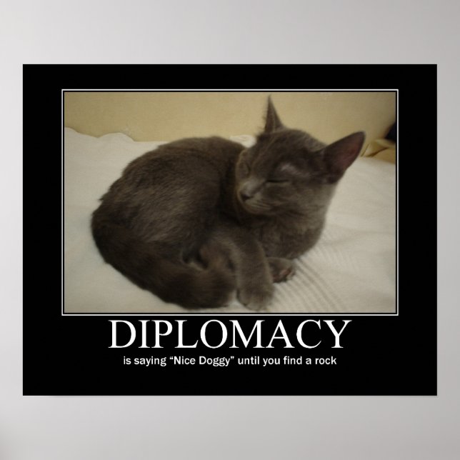 Poster Diplomacy Cat Trabalho de arte (Frente)