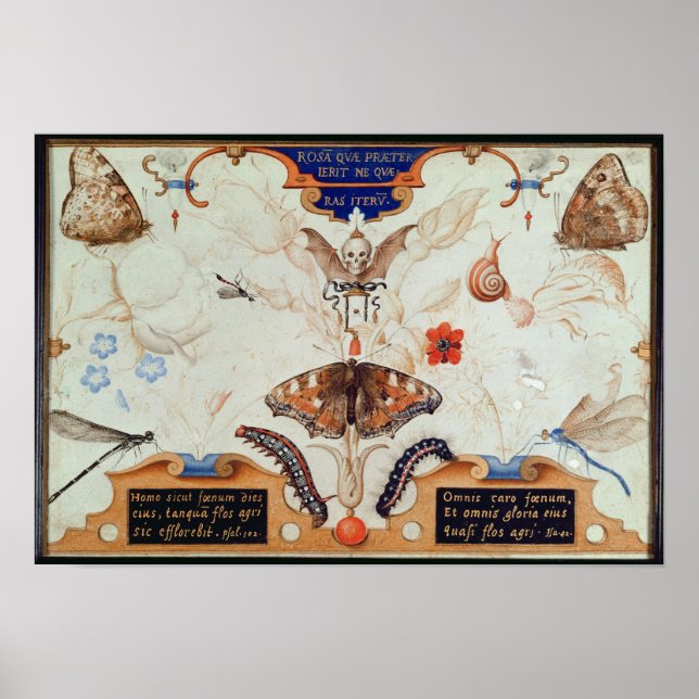 Poster Díptico com flores e insetos, 1591 (Frente)