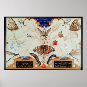 Poster Diptych com flores e insetos, 1591