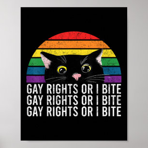 Poster Direitos Gay Ou Eu Mordo Gato Ally Pride Mês Homen
