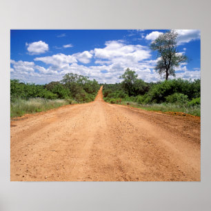 Pôster Dirt Road, Kruger National Park, Mbomalanga