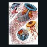 Pôster Disco<br><div class="desc">Um prato de Ernst Haeckel "Kunstformen der Nature" (1899),  representando Disco Dusae.</div>