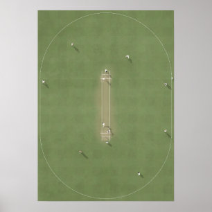 Poster Distância de Críquete Ilustrada de cima