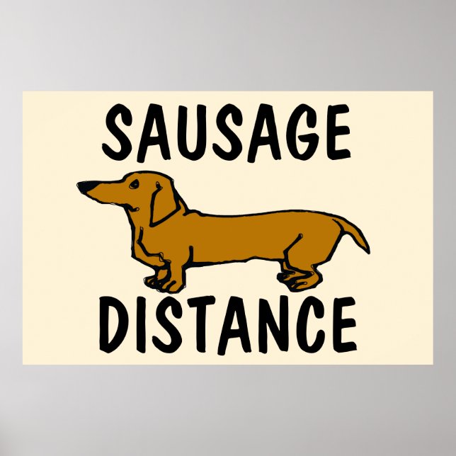 Poster Distância de salsicha, DachshundPoster (Frente)