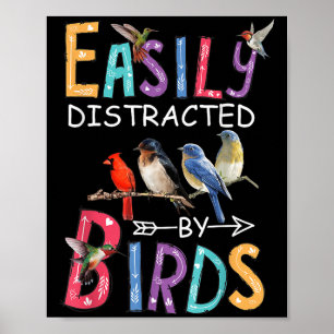 Poster Distraído Facilmente Por Aves Engraçadas