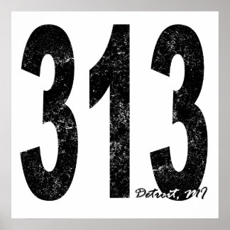 Pôster Distressão 313