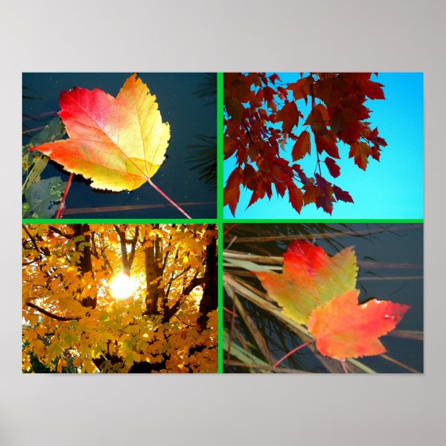 Poster Distribuidor de outono (Frente)