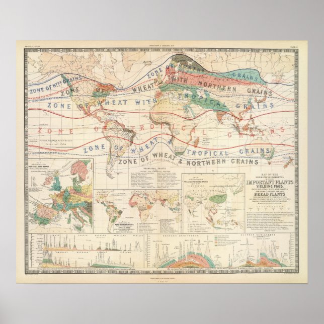 Pôster Distribution plants (Frente)