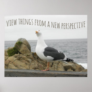 Poster Dito Motivacional de Gaivota com Nova Perspectiva
