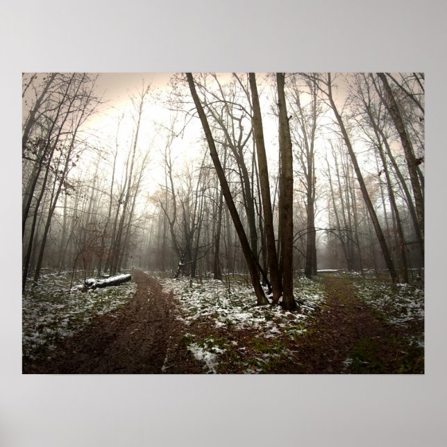 Poster divariação (Frente)