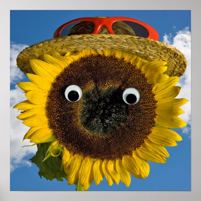 Poster Diversão de Verão com Girassóis (Frente)
