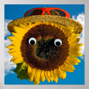 Poster Diversão de verão de Sunflower