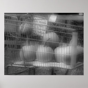 Pôster Diversão Fall Pumpkins Black White Photo Impress
