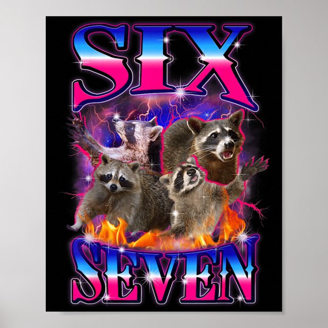 Poster Diversão Seis Sete 67 Meme 67 Guaxinim Meme Bootle (Frente)