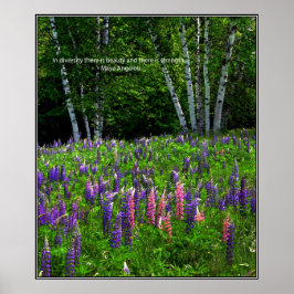 Poster Diversidade Expressa em Campo Lupino