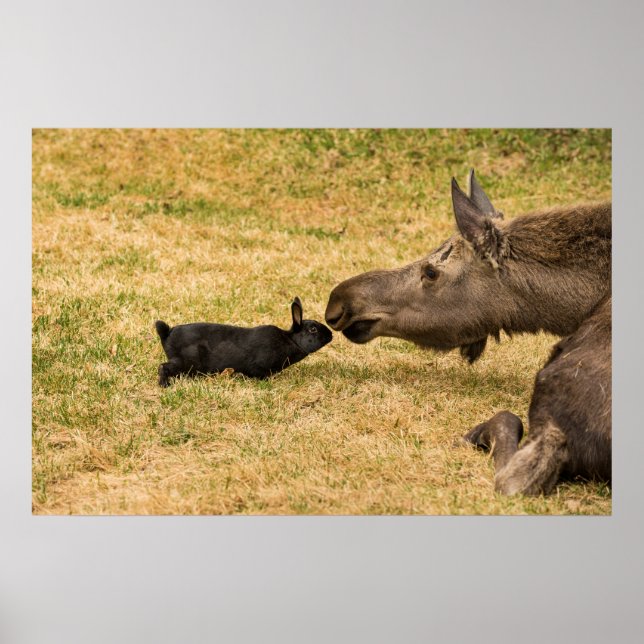 Poster Diversity (Frente)