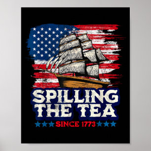 Poster Divertido professor de história dos EUA Boston Ven