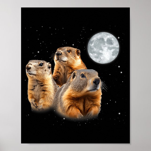 Poster Divertido Três Dia da Marmota Lua Dia da Marmota  (Frente)
