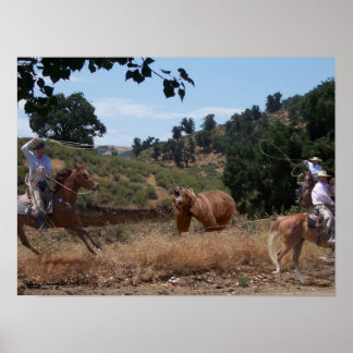 Poster Divertimento Grizzly