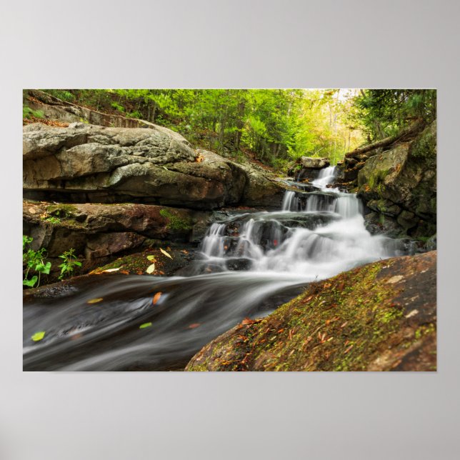 Poster Dividir Cai na Execução do Primavera de Areia (Frente)