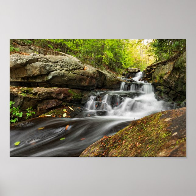 Poster Dividir Cai na Execução do Primavera de Areia (Frente)