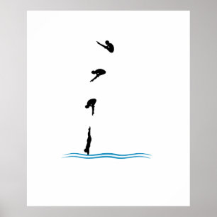 POSTER DIVISÃO DE SPRINGBOARD