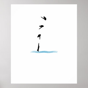 POSTER DIVISÃO DE SPRINGBOARD