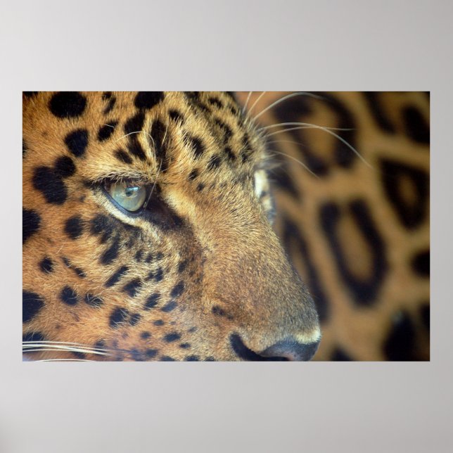 Pôster Dizendo adeus... (Frente)