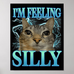 Poster Dizendo Divertido Gato Amante Estou Me Sentindo To