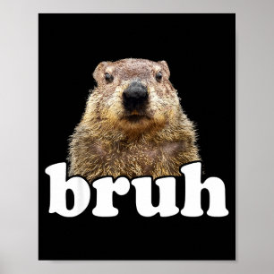 Poster Dizendo engraçado mano Groundhog amante de animais