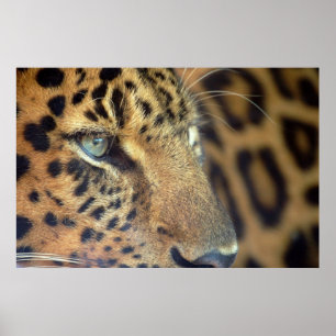 Pôster Dizer adeus…