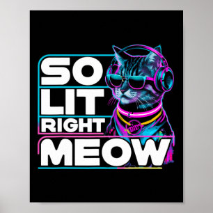 Poster Dj Cat Tão Lit Direita Meow Edm Techno Rave Party 