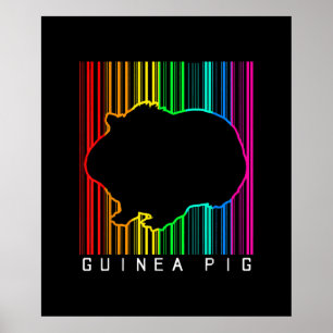 Poster DJ Guiné Pig Techno Edm Animal Rave Star Rainbow