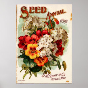 Poster DM Ferry Vintage Flower Catalog Anúncio