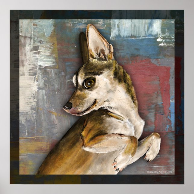 Pôster Dmbo (Frente)