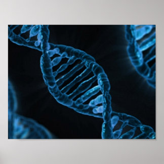 PÔSTER DNA