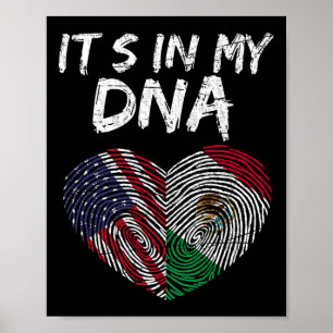 Poster Dna Bandeira EUA Americana Bandeira Mexicana Méxic