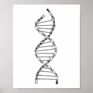 Poster DNA engraçado de ciclismo bicicleta corrente mount