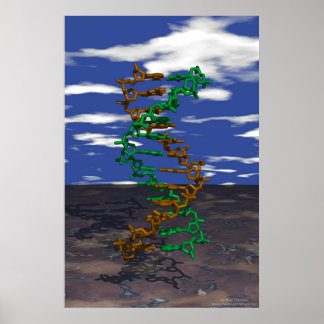 Poster DNA externo