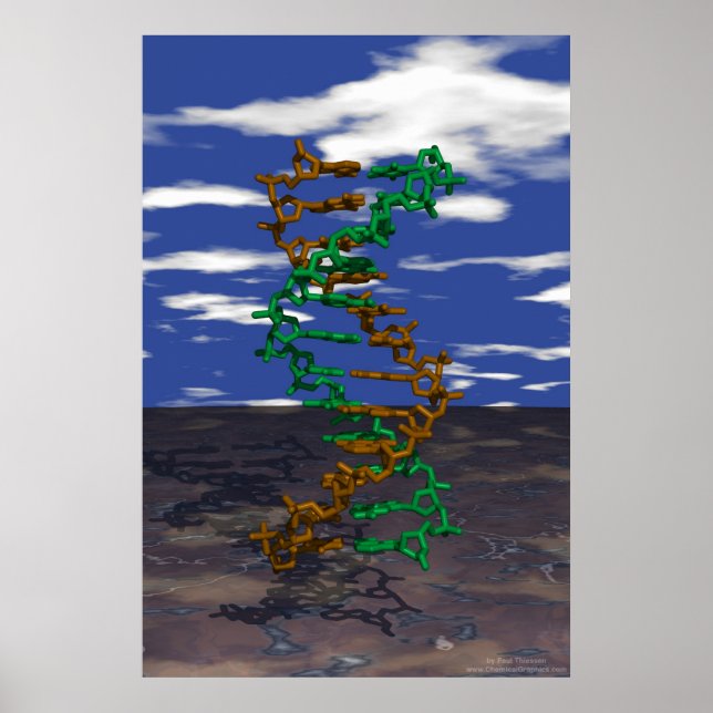 Poster DNA externo (Frente)